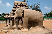 Mamallapuram - Tamil Nadu. The five Rathas. Elephant carved  from a single stone.